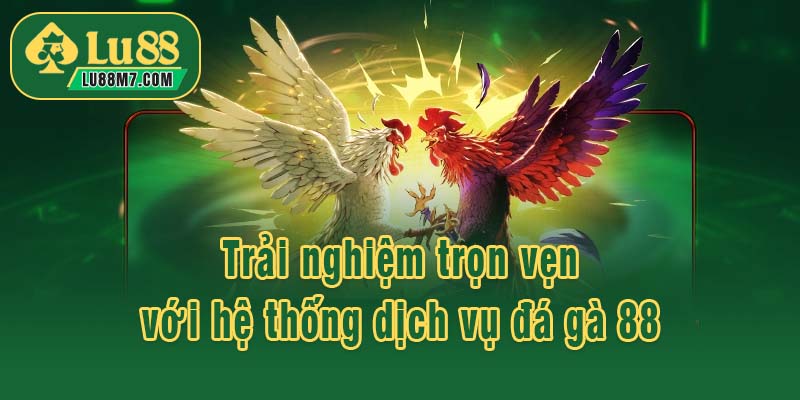 Trải nghiệm trọn vẹn với hệ thống dịch vụ đá gà 88