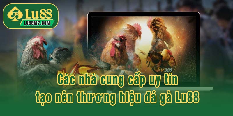 Các nhà cung cấp uy tín tạo nên thương hiệu đá gà Lu88