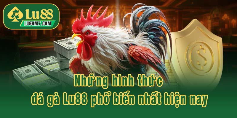 Những hình thức đá gà Lu88 phổ biến nhất hiện nay